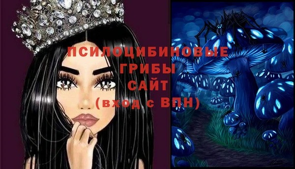 соль ск Горнозаводск