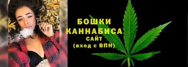 мдпв Снежинск