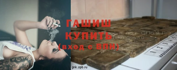 тгк Снежногорск