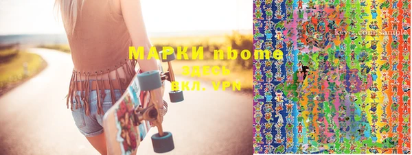 тгк Снежногорск