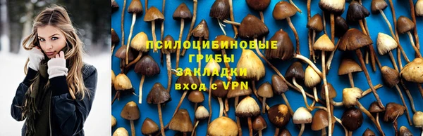 мдпв Снежинск